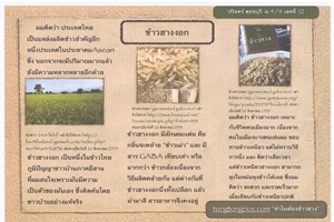 รางวัลชนะเลิศ ระดับชั้นมัธยมศึกษาตอนปลาย